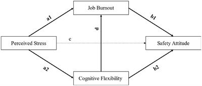 The mechanisms linking perceived stress to pilots’ safety attitudes: a chain mediation effect of job burnout and cognitive flexibility